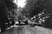 Juhnyáj a domboldalon és az úton (1915)