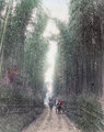 Bambuszerdő Kioto mellett (1870 körül)