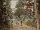 A narai Kasuga-taisha-szentély (1880 körül)