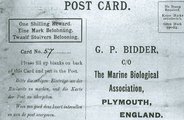 Bidder saját névre címzett képeslapja