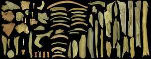 A barlangban talált csontmaradványok