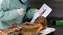 Vizsgálják Ötzi múmiáját