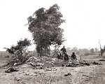 Temetésre készülődő katonák az antietami csata után 