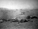 Halott katonák a gettysburgi csata után