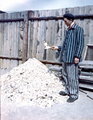 Egy volt rab egy emberi csonthalom mellett a buchenwaldi koncentrációs tábor krematóriumánál, a tábor felszabadítását követően