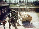 Amerikai katonák a buchenwaldi koncentrációs táborban talált holttestek mellett