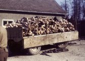 Holttestek a buchenwaldi koncentrációs táborban