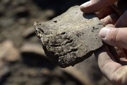 Egy közel nyolcezer éves, kalászokkal díszített edénytöredék