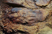 A területen talált többi múmia maradványai