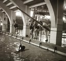 Úszásoktatás 1935-ben