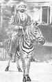 Rosendo Ribeiro brit-portugál orvos és diplomata, aki első ízben azonosította a bubópestist Kenyában, egy zebra hátán indul a betegeit meglátogatni.