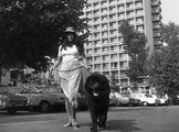 Egy hölgy sétáltatja a kutyáját a siófoki Hotel Európa előtt 1971-ben