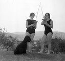 Két lány egy kutyával a Gellért-hegyen (1973)
