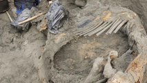 A 45 ezer éves mamutcsontok