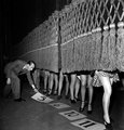 Párizsi lábszépségverseny 1950-ben