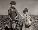 Gyermekek egy nebraskai cukorrépaföldön 1940. október 17-én