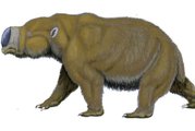 Így nézhetett ki a Diprotodon optatum