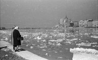 Margit híd és a Parlament a budai alsó rakpartról nézve 1963-ban <br /><i>Fortepan/Nagy Gyula</i>