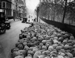 Birkanyáj halad a Hyde Parkból a Green Park felé a Piccadillyn, 1931. (kép forrása: Rare Historical Photos)