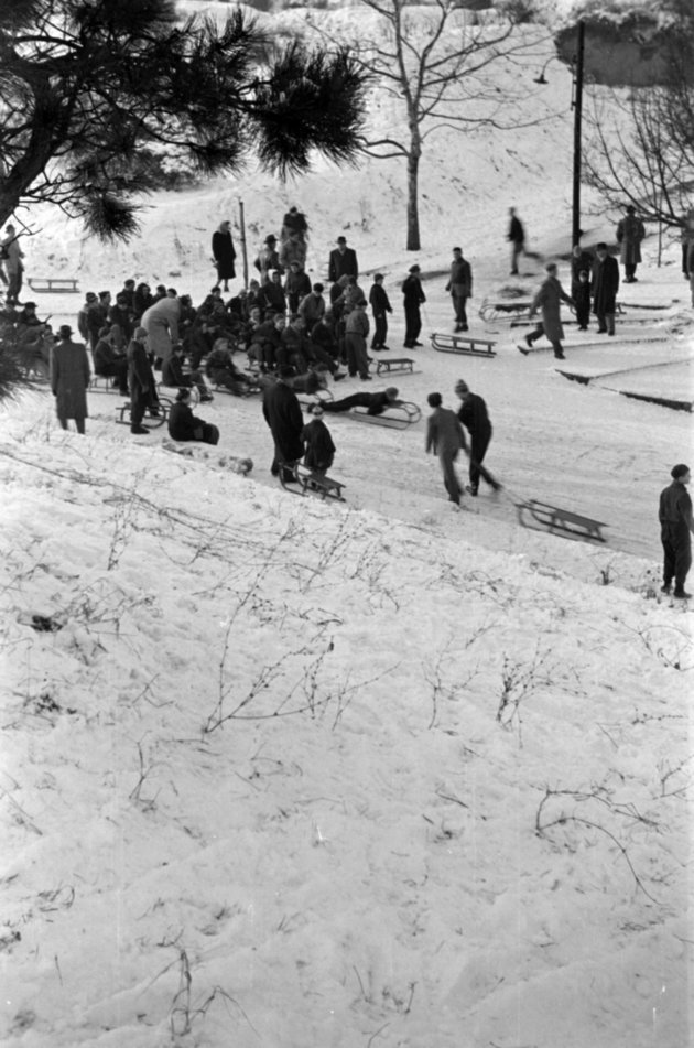 Tabáni tumultus, 1956 (Fortepan/Barbjerik Ferenc)