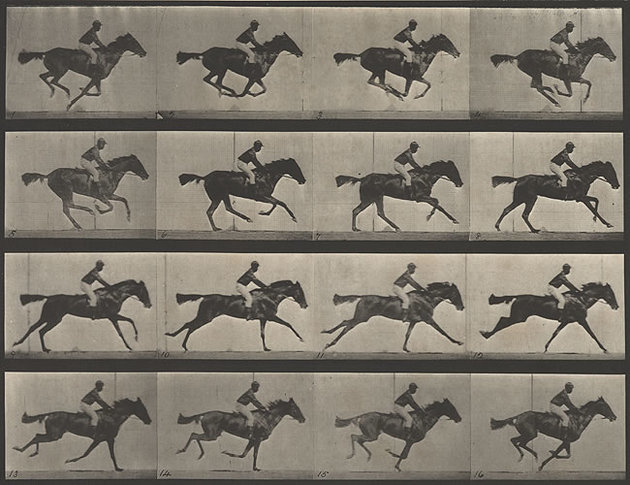 Muybridge lovas fotósorozata