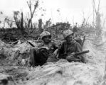 Amerikai tengerészgyalogosok Peleliu szigetén, 1944 őszén (kép forrása: defensemedianetwork.com)