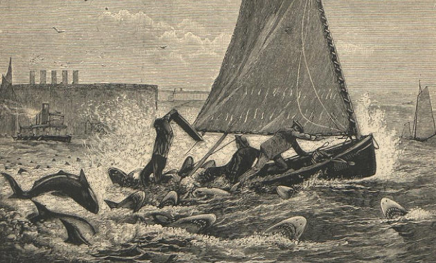 Fenevadaknak titulálták az addig jámbornak vélt cápákat a jersey-i támadás után
