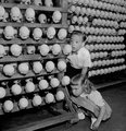 Játék egy Long Island-i babagyárban 1955-ben