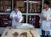 Dr. Daniel Romero Muniz Mengele maradványait vizsgálja