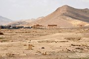 Palmüra látképe 