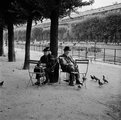 Idős pár egy párizsi parkban, 1955
