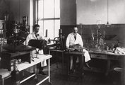 Pázmány Péter Tudományegyetem (ma Semmelweis Egyetem) III. sz. Belgyógyászati (ma Urológiai) Klinika, laboratórium. Az állatkísérlet alanya egy nyúl (1922)
