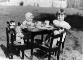 Teaparti babákkal és Miki egérrel