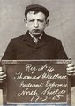 Thomas Wallace (18): szeméremsértés vádjával tartóztatták le (1905. február 17.)