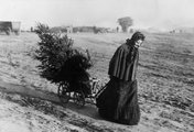 Egy asszony viszi hazafelé a fenyőfát 1895-ben
