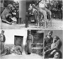 Egzotikus állatok a budapesti állatkertben (zoobudapest.com)