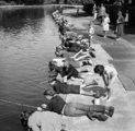 Horgászat a londoni Victoria Parkban (1953)