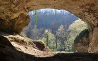 A horvátországi Vindija-barlang