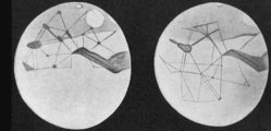 A marsi csatornák Percival Lowell rajzán