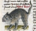 Cirmos bundájú macska középkori ábrázolása