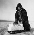 A Hudson-öböltől északra található Melville-félsziget fiatal lakója egy apró szánon szállítja a fagyott hóból kivágott tömböt, hogy kiolvasztva teát készítsen belőle