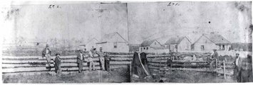 A brit bárányfarm 1859-ben