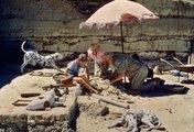 A híres paleoantropológus, Louis Leakey családjával a tanzániai Olduvai-szurdoknál egy korai hominida maradványait tanulmányozza