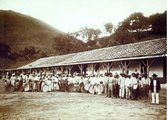 Rabszolgák egy brazíliai kávéültetvények 1885-ben