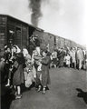 A sidelcei gettó felszámolása után annak lakóit szintén Treblinkába deportálták