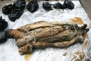 A múmia koporsója barna folyadékkal volt tele, amely megőrizte a holttestet