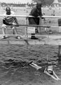 Úszásoktatás a Palatinuson (1922) <br /><i>Fortepan</i>