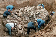 Törvényszéki szakértők vizsgálják a Pilica nevű település közelében feltárt tömegsírban talált holttesteket (1996. szeptember 18.)
