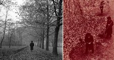 A levelekkel borított őszi sétány is kedvelt témája volt a 20. század első felében működő fotósoknak