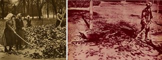 A levélhullás minden évben munkás időszak a kertészek és segítőik, a sétányokat, tereket takarító utcaseprők számára. A két világháború között készült sajtófotók megörökítették az őszi nagytakarítást végző munkásokat (3)